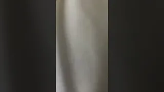 اصوات على القماش 