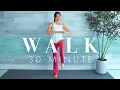 30 Minute Walking Workout for Beginners Seniors Low Impact to the Music Beat