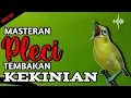 Download Lagu MASTERAN PLECI TEMBAKAN KEKINIAN 2024 DAHSYAT JUARA NASIONAL #masteranpleci
