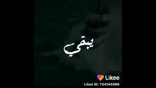 عمرك مركب عايمه في  عرض بحر دندنها