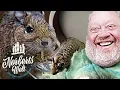 Lagu DER LUSTIGSTE DEGU DER WELT! | NORBERT LACHT SICH SCHLAPP  | NORBERTS WELT | Zoo Zajac