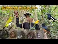 Download Lagu Ngebolang Di lokasi lama menemukan banyak sarang burung...