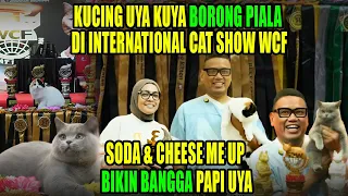 Kucing Uya Kuya Borong Piala di International Cat Show WCF