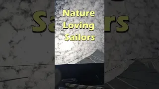Nature Loving Sailors #shorts #sailing #nature