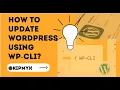 How to use WP-CLI to update WordPress core themes and Plugins