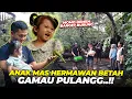 Download Lagu MAS HERMAWAN BELUM PERNAH KE AVIARY..?? ANAKNYA MAS HER BETAH, GAMAU PULANGGG