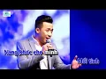 Lagu Cánh hồng phai - Trấn Thành karaoke HD - Beat chuẩn