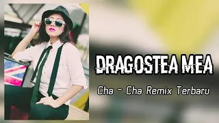 cha cha enak dragostea mea lagu acara remix terbaru arjhun kantiper 