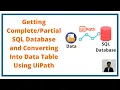 Getting SQL Database and Converting Into Data Table Using UiPath