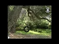News 8 Throwback 1993 Profile of Poway in San Diego County