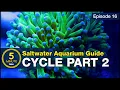 Skip the ugly phase Step 2 of cycling your saltwater tank with utilitarian fish bacterial troops