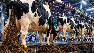 Inside the Cow Manure Book Factory | From Fresh Dung to Books & Magazines