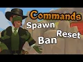 Dashboard How to Use Commands for A Township Tale