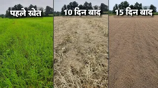 जिद्दी खरपतवारों का सफाया! बररू घास, मोथा, दूब, गाजर घास समेत सभी Weed Control💧Best Herbicide Result