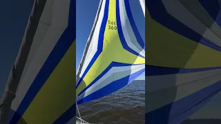 Last Sail of 2023 #shorts