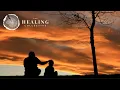 ACA Reparenting Check-in Meditation
