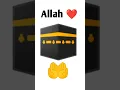 I love Allah #love #allah #muhhamad #trending #viralshort