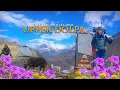 Lagu Into wild UPPER DOLPA | Kagbeni to Charka Bhot | The Great Himalaya Trail 