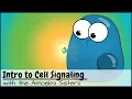 Intro to Cell Signaling