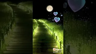 سنة الحياة حالات واتس 