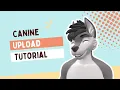 Masc Canine VRChat Tutorial PC and Quest