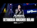 Download Lagu SETANGKAI ANGGREK BULAN ( JADUL ) - SILVY KUMALASARI X OM HIMAWAN | HUT KAB BLITAR 701 | FYP TIKTOK
