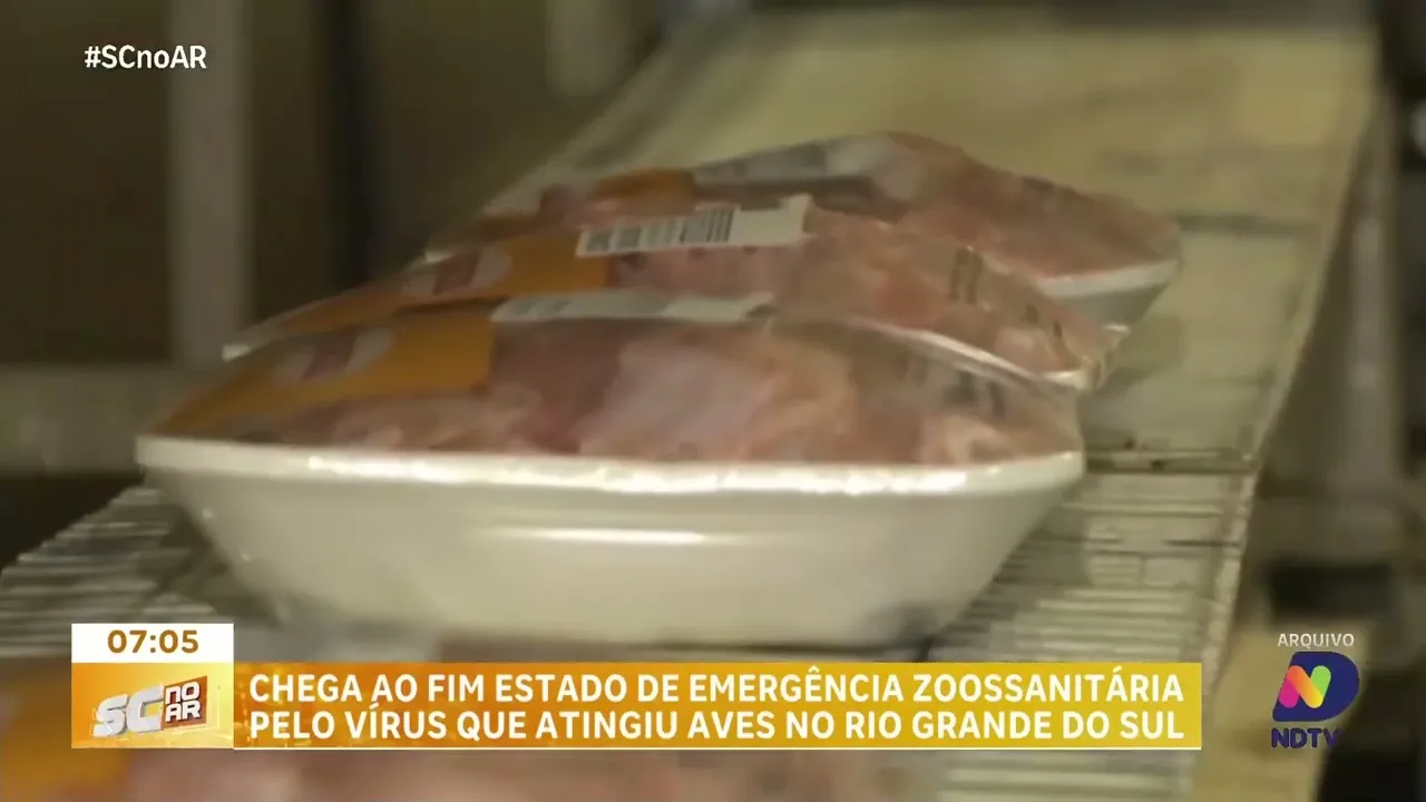 Ministério da Agricultura declara fim da emergência zoossanitária pelo vírus que atingiu aves no RS