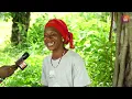 Download Lagu 'Kutubung Daala' SO5 EP37 met vrouwelijke rijstboeren in het dorp Ndemban