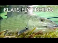 Epic Bonefish Permit Tarpon Fly Fishing Belize