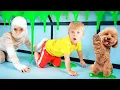 Download Lagu Anak Anjing Jatuh ke Ruang Bawah Tanah 🐶 – Petualangan Oliver \u0026 Ibu di Labirin Besar