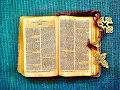 The Gospel of John Chapter 2 NASB 2020