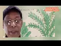 Download Lagu পৃথিবীর ইতিহাসে সবচেয়ে দুর্বোধ্য এবং রহস্যময় প্রাচীন পান্ডুলিপি ভয়েনিক মেনুস্ক্রিপ্ট 