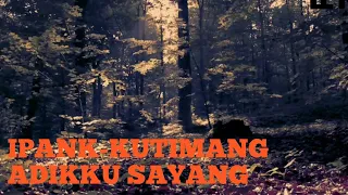 Download IPANK-KUTIMANG ADIKKU SAYANG(lyrics music videos) MP3