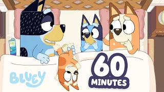 Let Bingo Go! 🤣 | Bluey Morning Moment ☀️ | Jokes with the Family 💙 | Bluey