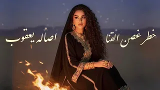 خطر غصن القنا   اصاله يعقوب                     جلسات       دندنها