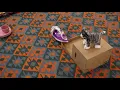 IKEA PAPPIS box