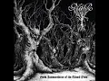 Lagu Nûr (CL) - Futile Transcendence of the Cursed Ones (Atmospheric Black Metal) (2004)