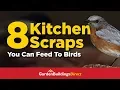 8 Kitchen Scraps You Can Feed to Wild Birds