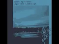 Kusch Spitfires -