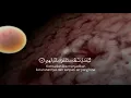 Download Lagu CARD20   Surah As Sajdah 8   9