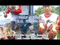 Panen Perdana Talas Pratama Dua | Bentul - Talas Ketan - Keladi | Eks Rawa Kali Purba
