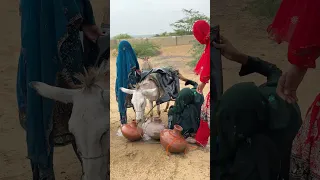 فتيات ريفي ات يحملن الماء على حمار عجوز عائدات إلى بيوتهن 