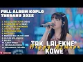 Download Lagu TAK LALEKNE KOWE - HAPPY ASMARA FULL ALBUM TERBARU DANGDUT KOPLO TERBARU 2025
