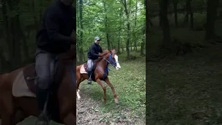 احنا العياله دندنها