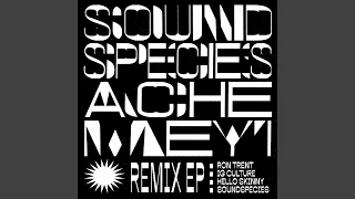 alinas calypso ron trent remix 