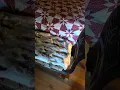 Airbnb in johnson city tennessee