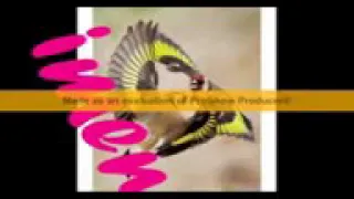 مسلسل الأب الروحي الموسم الثاني الحلقة الثالثة والخمسون The Godfather Series Episode 53 