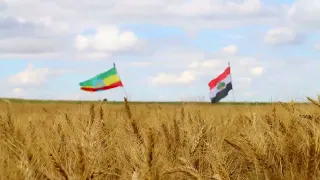 Kilaastara Qamadii Aanaa Cinaaksan 2017 