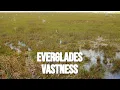 Everglades Park Built for Life