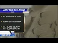 Sutter County confirms 1st West Nile case as deaths rise